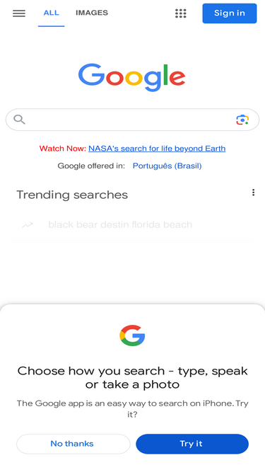 google.com.br